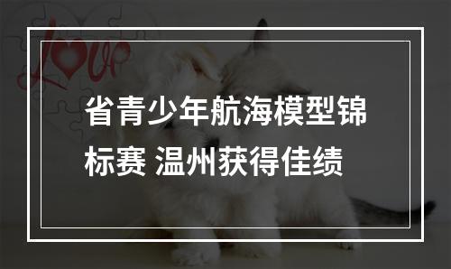 省青少年航海模型锦标赛 温州获得佳绩
