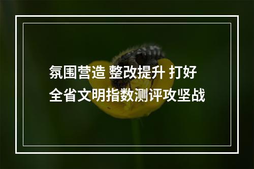 氛围营造 整改提升 打好全省文明指数测评攻坚战