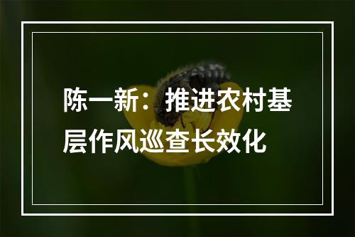 陈一新：推进农村基层作风巡查长效化