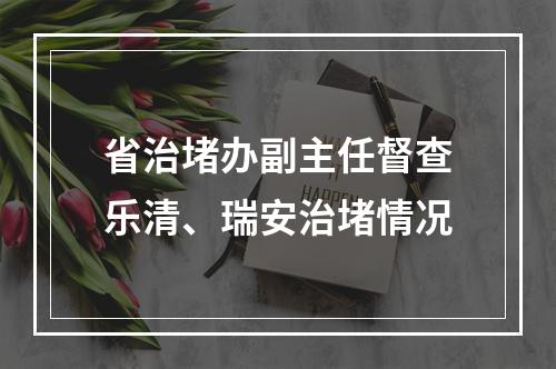省治堵办副主任督查乐清、瑞安治堵情况