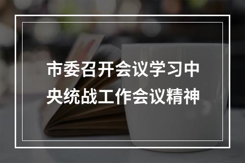 市委召开会议学习中央统战工作会议精神