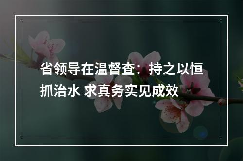 省领导在温督查：持之以恒抓治水 求真务实见成效