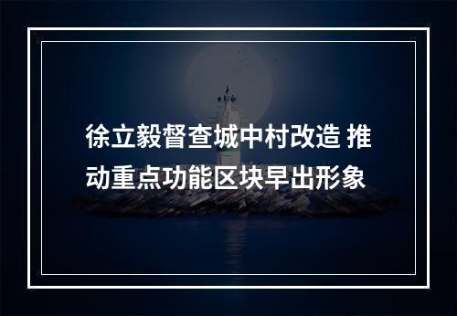 徐立毅督查城中村改造 推动重点功能区块早出形象