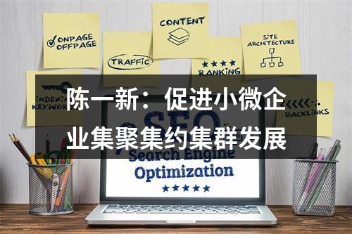 陈一新：促进小微企业集聚集约集群发展