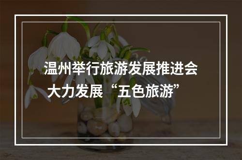 温州举行旅游发展推进会 大力发展“五色旅游”