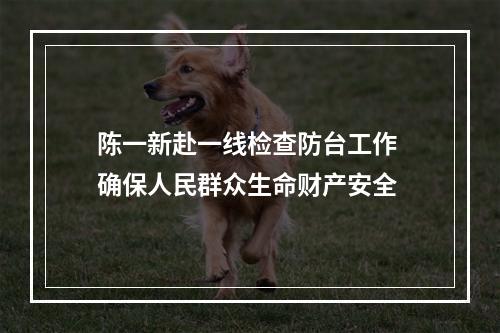 陈一新赴一线检查防台工作 确保人民群众生命财产安全