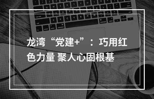 龙湾“党建+”：巧用红色力量 聚人心固根基