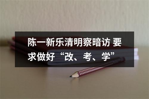 陈一新乐清明察暗访 要求做好“改、考、学”