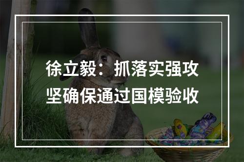 徐立毅：抓落实强攻坚确保通过国模验收