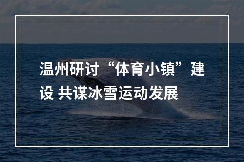 温州研讨“体育小镇”建设 共谋冰雪运动发展