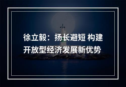 徐立毅：扬长避短 构建开放型经济发展新优势