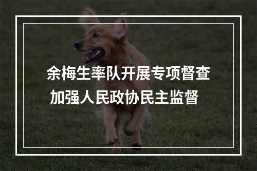 余梅生率队开展专项督查 加强人民政协民主监督