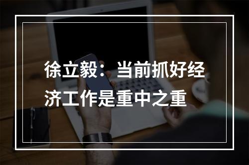 徐立毅：当前抓好经济工作是重中之重