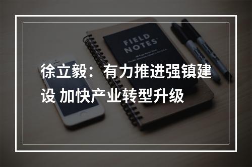 徐立毅：有力推进强镇建设 加快产业转型升级