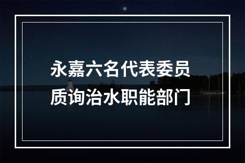 永嘉六名代表委员 质询治水职能部门