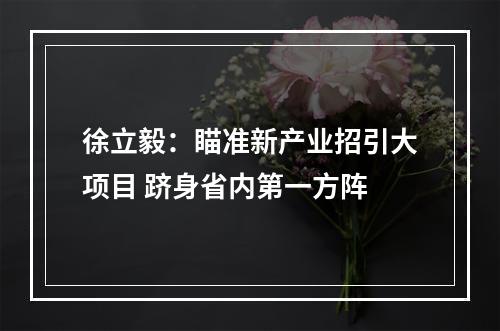 徐立毅：瞄准新产业招引大项目 跻身省内第一方阵