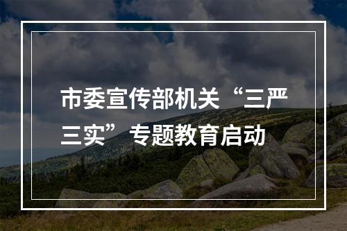 市委宣传部机关“三严三实”专题教育启动
