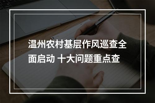 温州农村基层作风巡查全面启动 十大问题重点查