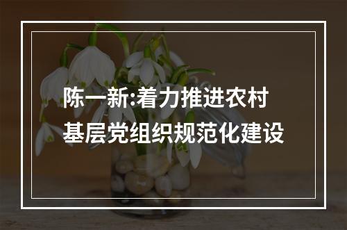 陈一新:着力推进农村基层党组织规范化建设