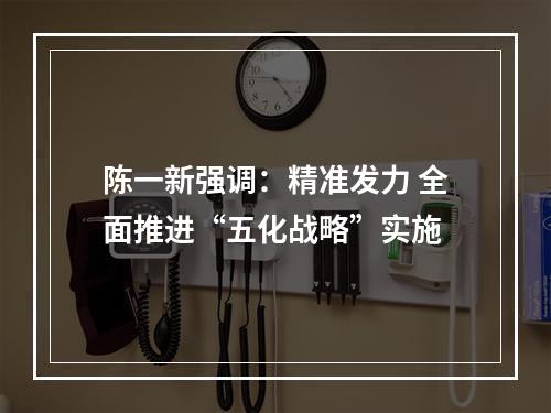 陈一新强调：精准发力 全面推进“五化战略”实施