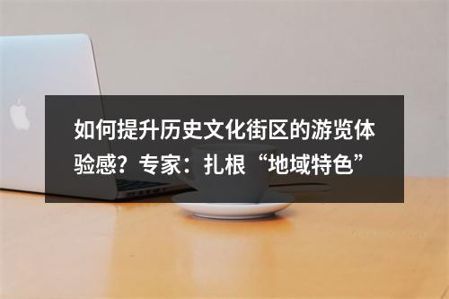 如何提升历史文化街区的游览体验感？专家：扎根“地域特色”