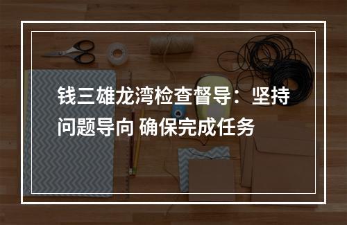 钱三雄龙湾检查督导：坚持问题导向 确保完成任务