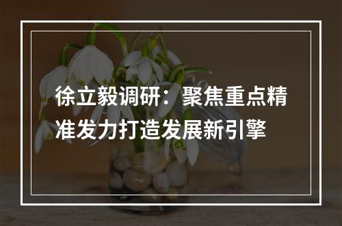 徐立毅调研：聚焦重点精准发力打造发展新引擎