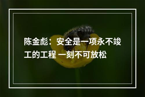 陈金彪：安全是一项永不竣工的工程 一刻不可放松