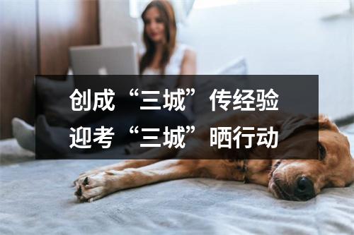 创成“三城”传经验 迎考“三城”晒行动