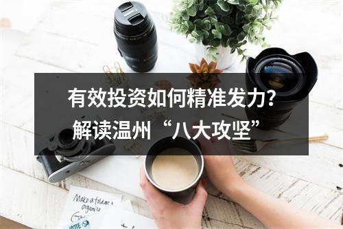 有效投资如何精准发力？ 解读温州“八大攻坚”