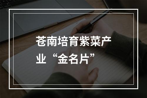 苍南培育紫菜产业“金名片”