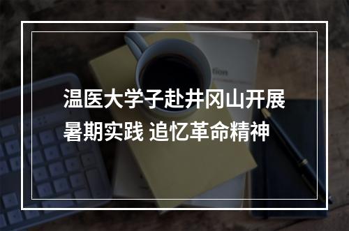 温医大学子赴井冈山开展暑期实践 追忆革命精神