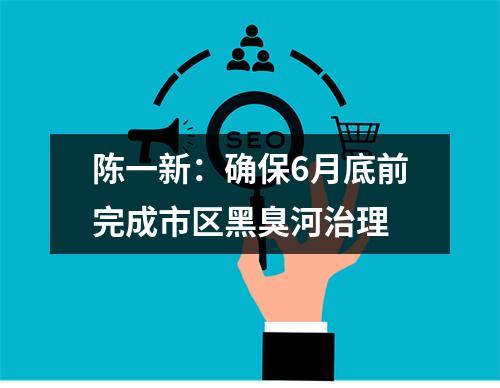 陈一新：确保6月底前完成市区黑臭河治理