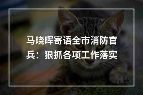 马晓晖寄语全市消防官兵：狠抓各项工作落实