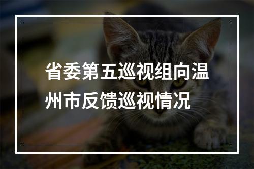 省委第五巡视组向温州市反馈巡视情况