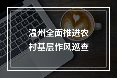 温州全面推进农村基层作风巡查