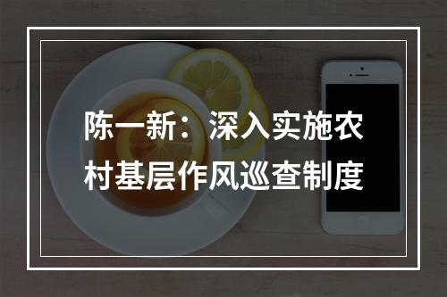 陈一新：深入实施农村基层作风巡查制度