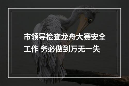 市领导检查龙舟大赛安全工作 务必做到万无一失