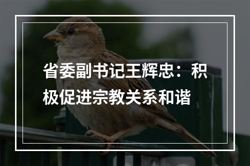 省委副书记王辉忠：积极促进宗教关系和谐