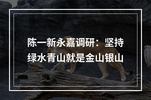 陈一新永嘉调研：坚持绿水青山就是金山银山