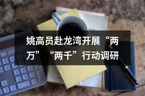 姚高员赴龙湾开展“两万”“两千”行动调研