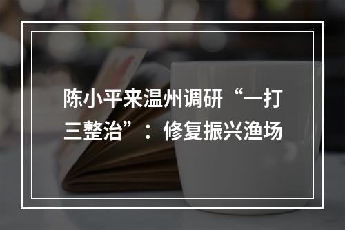 陈小平来温州调研“一打三整治”：修复振兴渔场