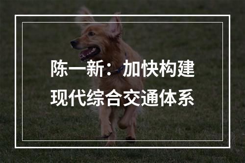 陈一新：加快构建现代综合交通体系