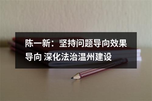 陈一新：坚持问题导向效果导向 深化法治温州建设