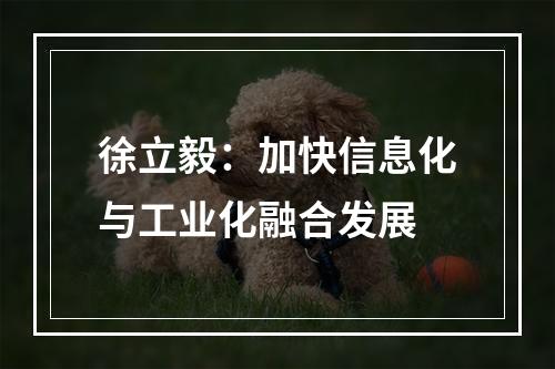 徐立毅：加快信息化与工业化融合发展