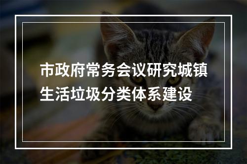 市政府常务会议研究城镇生活垃圾分类体系建设