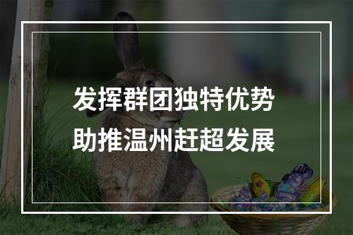 发挥群团独特优势 助推温州赶超发展