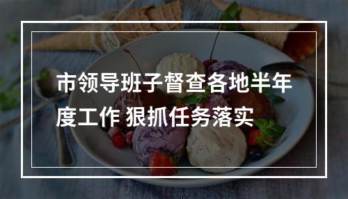 市领导班子督查各地半年度工作 狠抓任务落实