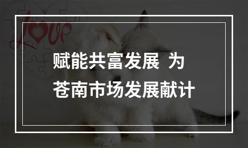 赋能共富发展  为苍南市场发展献计