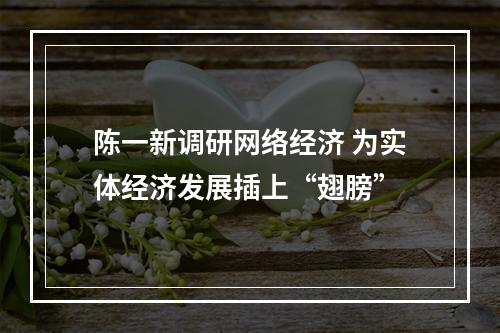 陈一新调研网络经济 为实体经济发展插上“翅膀”